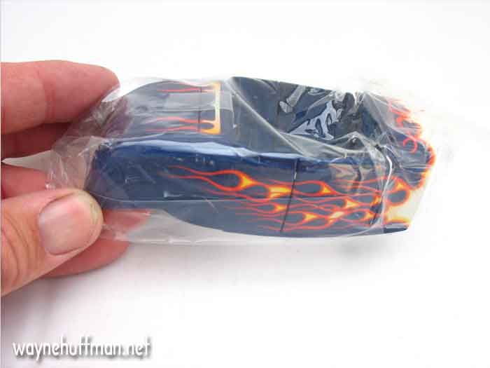 Night blooming cactus